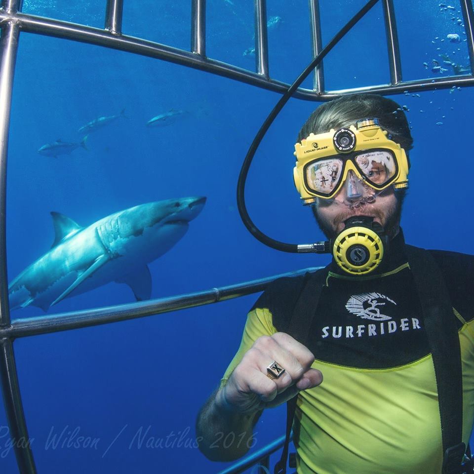 Man diving next to shark